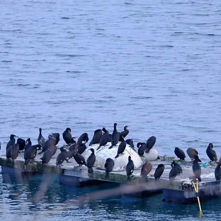 Charming Traditional Norwegian In Lyngen