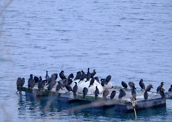 Charming Traditional Norwegian In Lyngen